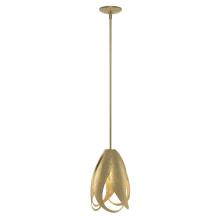 Hubbardton Forge - Canada 188770-SKT-MULT-86 - Pental Mini Pendant