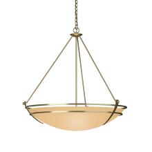 Hubbardton Forge - Canada 194431-SKT-86-SS0170 - Presidio Tryne Large Scale Pendant