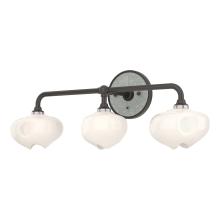 Hubbardton Forge - Canada 201342-SKT-14-82-FD0710 - Ume 3-Light Curved Arm Bath Sconce