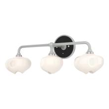 Hubbardton Forge - Canada 201342-SKT-82-10-FD0710 - Ume 3-Light Curved Arm Bath Sconce