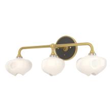 Hubbardton Forge - Canada 201342-SKT-86-14-FD0710 - Ume 3-Light Curved Arm Bath Sconce