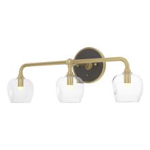 Hubbardton Forge - Canada 201342-SKT-86-14-ZM0709 - Ume 3-Light Curved Arm Bath Sconce