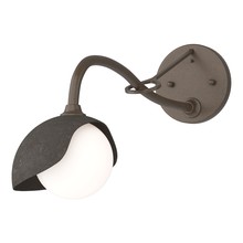 Hubbardton Forge - Canada 201376-SKT-05-07-GG0711 - Brooklyn 1-Light Single Shade Long-Arm Sconce