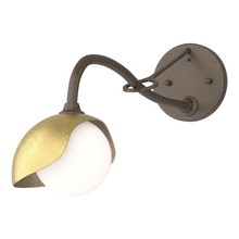 Hubbardton Forge - Canada 201376-SKT-05-86-GG0711 - Brooklyn 1-Light Single Shade Long-Arm Sconce