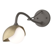 Hubbardton Forge - Canada 201376-SKT-07-84-GG0711 - Brooklyn 1-Light Single Shade Long-Arm Sconce