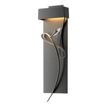 Hubbardton Forge - Canada 205440-LED-10-20-CR - Rhapsody LED Sconce