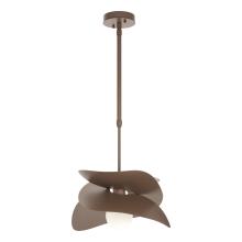 Hubbardton Forge - Canada 369455-SKT-STND-75 - Hibiscus Outdoor Pendant