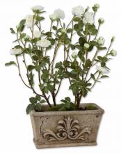 Uttermost 60023 - White Tea Rose Hedge